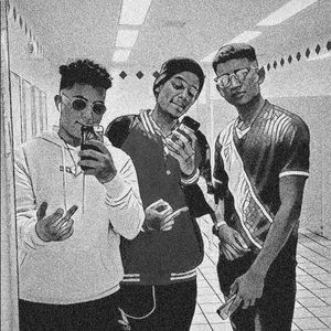 Meet your Posher, Leo